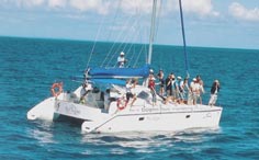 Blue Dolphin Marine Tours - Sailing Catamaran