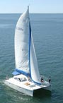 Blue Dolphin Marine Tours - Sailing Catamaran