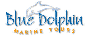 Hervey Bay attractions - Blue Dolphin Marine Tours