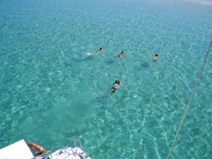 Shayla Adventure Sail - Snorkelling - Sailing Cruises