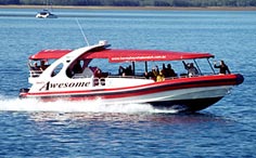 That's Awesome - Sun Indulgence Cruise - Hervey Bay Attractions