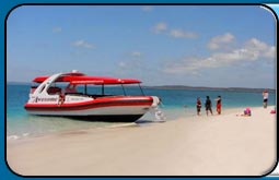 Hervey Bay Attractions - That's Awesome Cruises